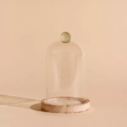 salle d'ô - Cloche en verre Diam10