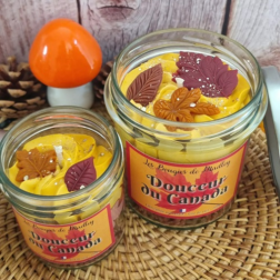 salle d'ô - Bougie gourmande - Douceur du Canada - 100g