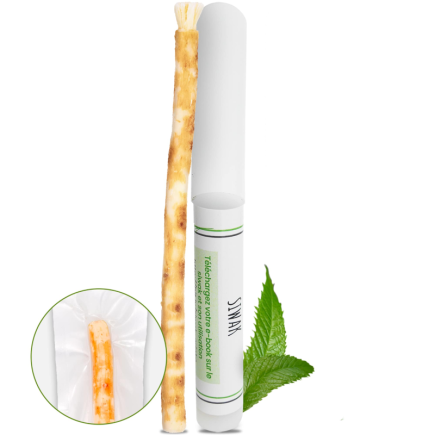 salle d'ô - 1 Baton de Siwak avec étui - Brosse à dents naturelle