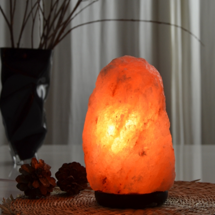 salle d'ô - Lampe en Cristal de Sel d’Himalaya - Rock 2-3Kg - Base en Bois