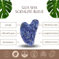 Blue Sodalite Stone Gua Sha - Stimulates Circulation