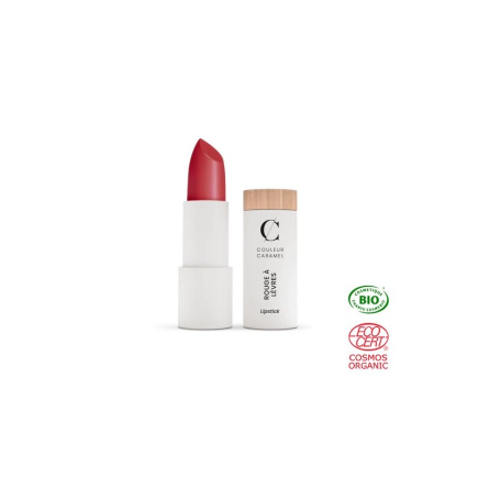 salle d'ô - Rouge à lèvres glossy 238 - Framboise acidulée