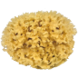 Mediterranean natural sponge - 9cm