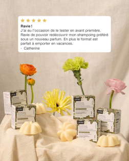 Shampoo-Kollektion – Rhabarber und Sesam – 50 g