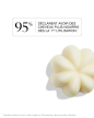 Shampoo-Kollektion – Rhabarber und Sesam – 50 g