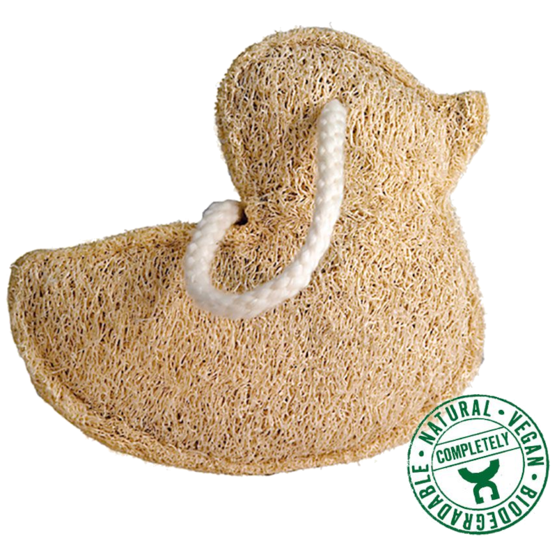 Luffa - various shapes