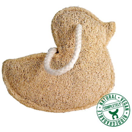 salle d'ô - Luffa - formes diverses