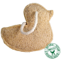 Luffa - various shapes