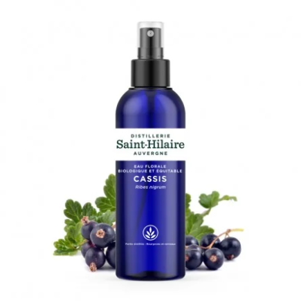 Salle d'ô - Eau florale de Cassis bio - 200ml