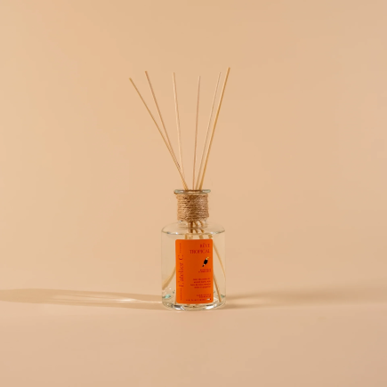 Raumduft-Diffusor 200 ml – Tropical Dream (20 m²)