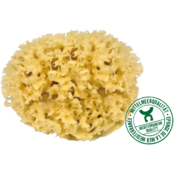 salle d'ô - Eponge naturelle Méditerranée - 14cm