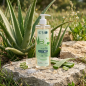 Aloe vera gel 98% - 500ml - 99% natural Aloe vera gel 98% - 500ml - 99% natural