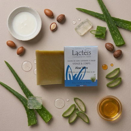 40% Donkey’s Milk & Organic Aloe Vera Soap 90g | Salle d’ô