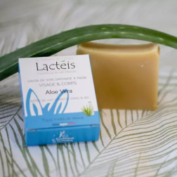 Seife mit 40 % Eselsmilch & Bio-Aloe Vera 90 g | Salle d’ô
