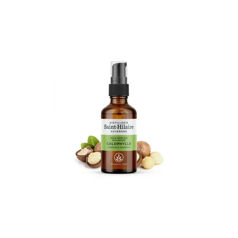 Vegetable oil - calophyllum - 50ml - Organic