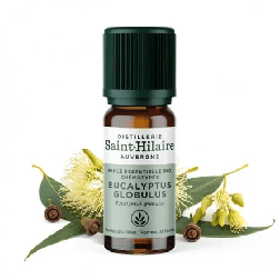 salle d'ô - HE Eucalyptus Globulus - 10ml - Bio