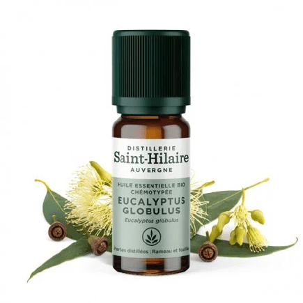 salle d'ô - HE Eucalyptus Globulus - 10ml - Bio