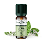 HE Menthe Poivrée - 10ml - Bio