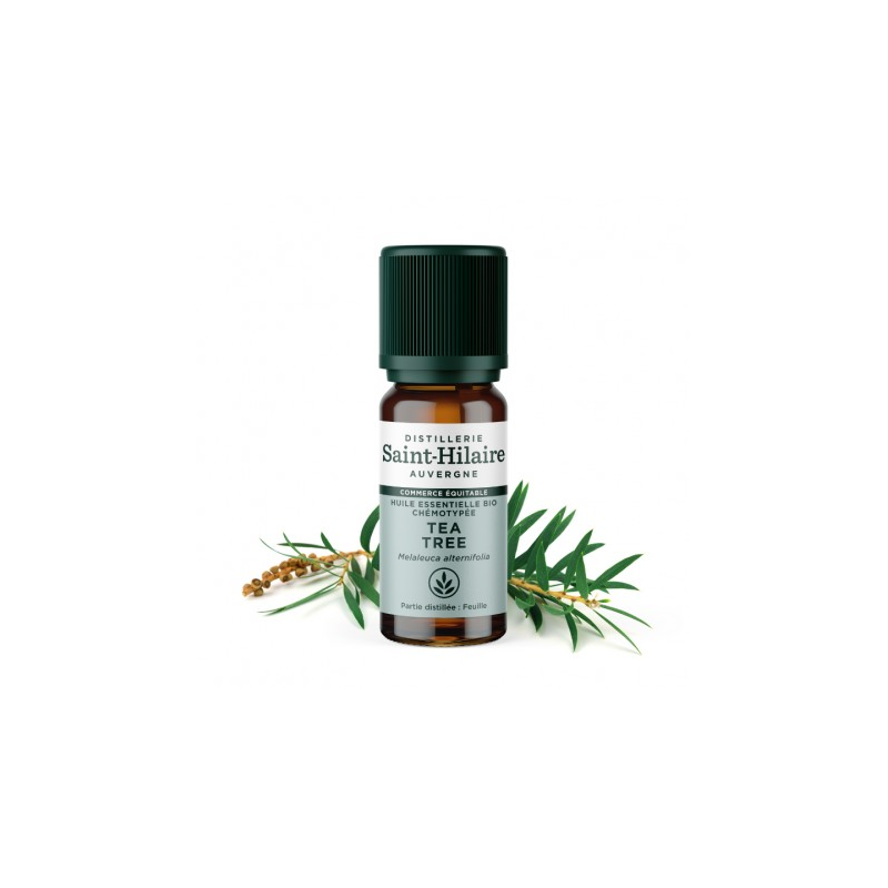 Óleo essencial de árvore do chá (tea tree) - 10ml - Biológico