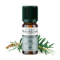 Óleo essencial de árvore do chá (tea tree) - 10ml - Biológico