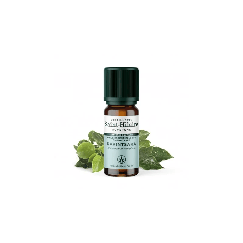 Ravintsara Essential Oil - 10ml - Organic Fair Trade
