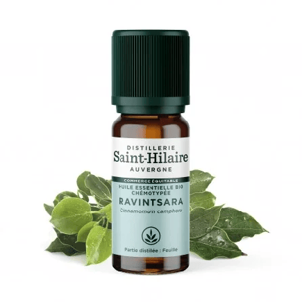 salle d'ô - HE Ravintsara - 10ml - Commerce équitable bio