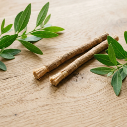 2 Varas de Siwak (Miswak) Naturais | Escova de Dentes Sem Resíduos - Salle d’ô