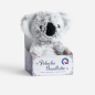 Mikrowellengeeignete Koala-Plüsch-Wärmflasche | La Boutique Salle d'Ô