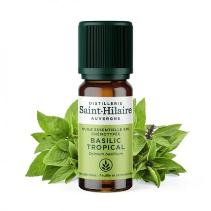 salle d'ô - HE Basilic Tropical - 10ml - Bio