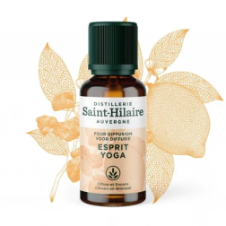 salle d'ô - Huiles - Esprit Yoga - 30ml