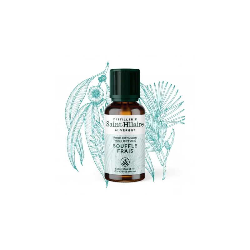 Huiles - Souffle Frais - 30ml