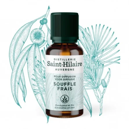 salle d'ô - Huiles - Souffle Frais - 30ml