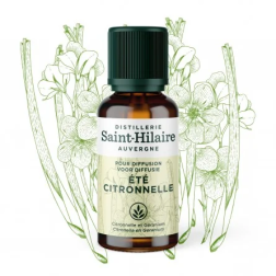 salle d'ô - Huiles - Ete citronnelle - 30ml