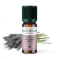 Spike Lavender Essential Oil - 10ml - Organic Spike Lavender Essential Oil - 10ml - Organic