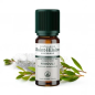 Niaouli Essential Oil - 10ml - Organic Fair Trade