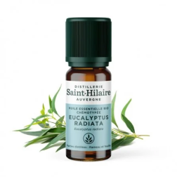 salle d'ô - HE Eucalyptus Radiata - 10ml - Bio