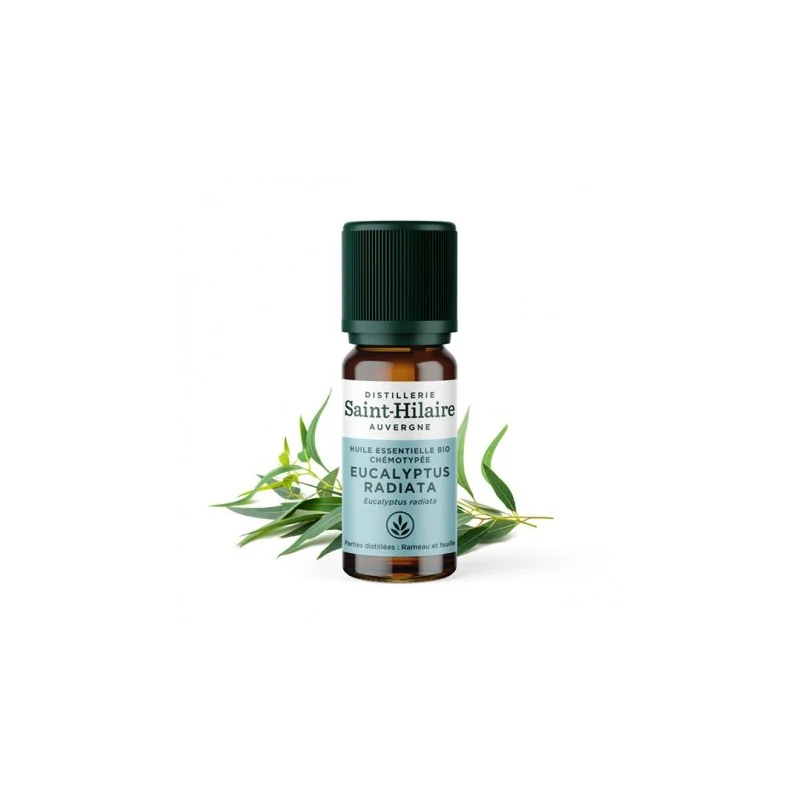 HE Eucalyptus Radiata - 10ml - Organic