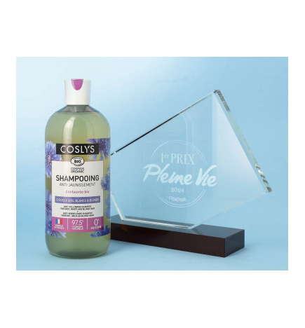 salle d'ô - Shampooing anti-jaunissement - cheveux gris-blancs - 500ml