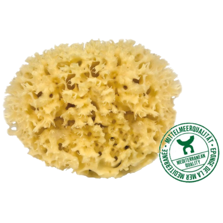 salle d'ô - Eponge naturelle Méditérranée - 8cm