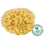 Eponge naturelle Méditérranée - 8cm