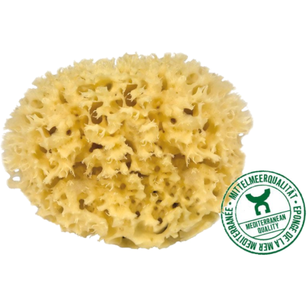 salle d'ô - Eponge naturelle Méditerranée - 12cm