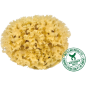 Natürlicher mediterraner Schwamm – 12 cm