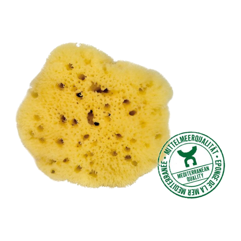 Thin sponge - 8cm - Greece Thin sponge - 8cm - Greece