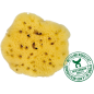 Thin sponge - 11cm - Greece Thin sponge - 11cm - Greece