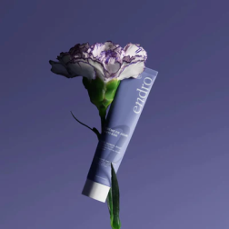 salle d'ô - Crème De Jour Anti-Âge - Routine Anti-Âge