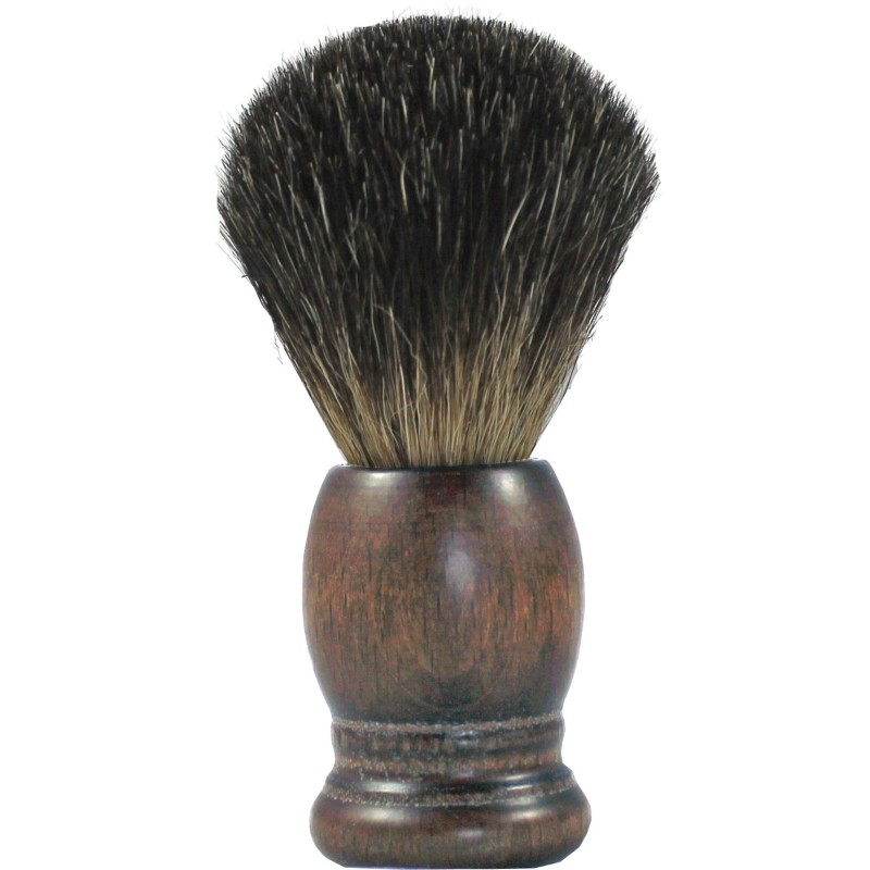 Badger in stained beechwood - Grey badger hair - Germany