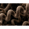 Textured hair