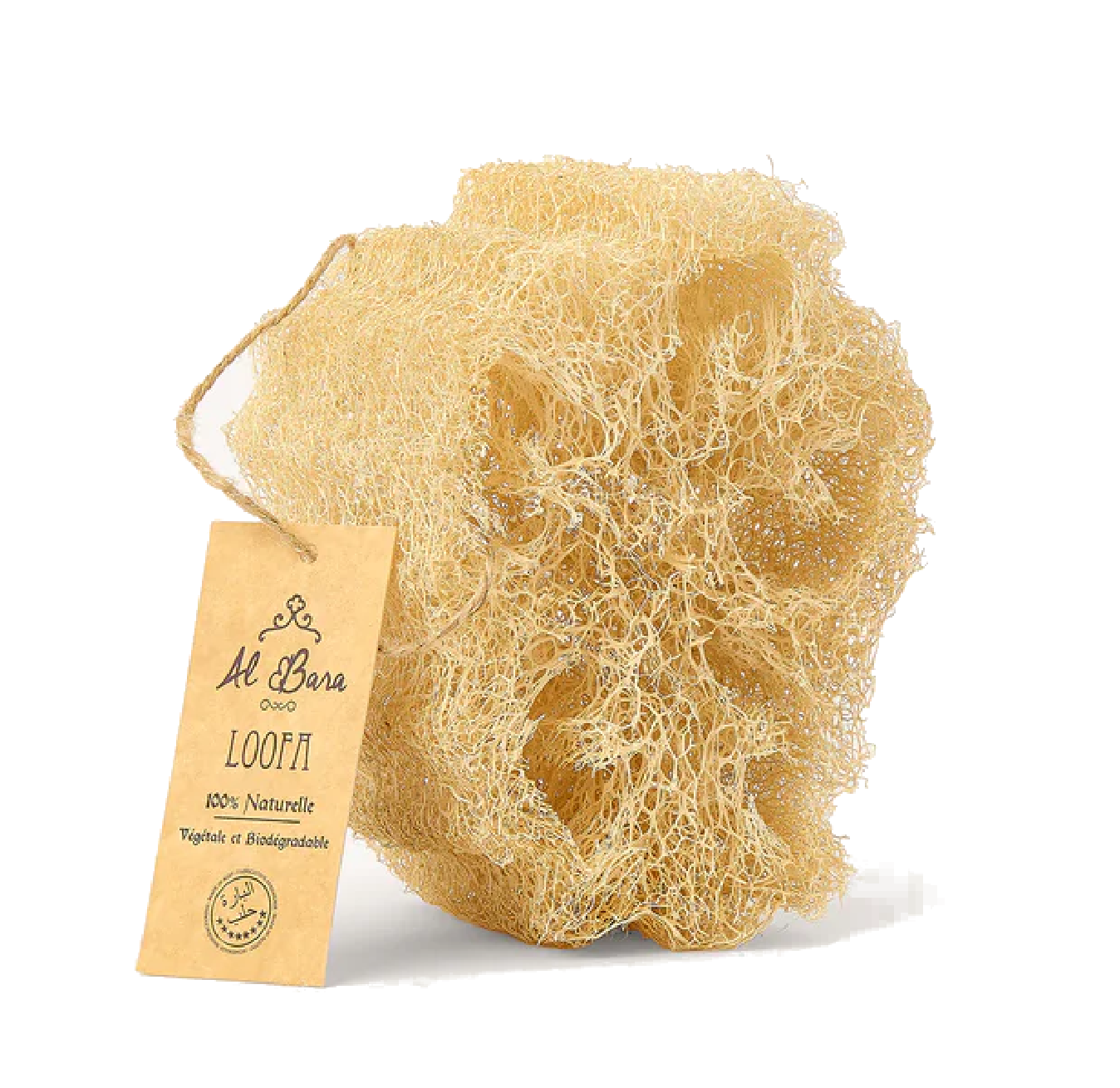 Loofah