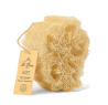 Loofah
